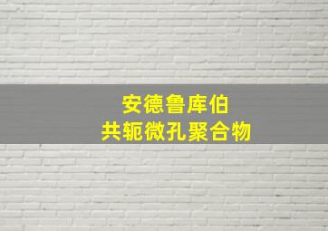 安德鲁库伯 共轭微孔聚合物